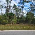 15122 Carousel Lane - Photo 9