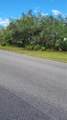 17856 Toledo Blade Boulevard - Photo 7