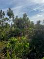 50980 & 50982 Bermont Road - Photo 19