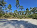27342 Balboa Drive - Photo 13