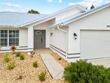 28434 Sabal Palm Drive - Photo 4