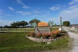 334 Omen Street - Photo 17