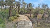 3000 Narcissus Terrace - Photo 79