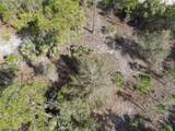13647 Carousel Drive - Photo 3