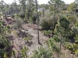 13647 Carousel Drive - Photo 4