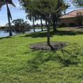 17164 Cape Horn - Photo 12