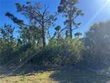 14049 Monserrate Ln - Photo 4