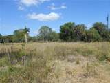 25480 Dundee Road - Photo 1