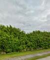 12172 Access Road - Photo 2