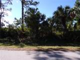 26251 Hapsburg Road - Photo 2