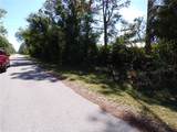 26251 Hapsburg Road - Photo 3
