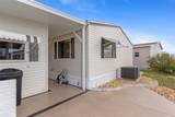 239 Martinique Road - Photo 44