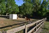 2461 Garvin Avenue - Photo 40