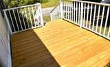 11195 Grapefruit Lane - Photo 5