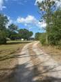 5522 Swaying Palm Drive - Photo 2