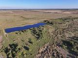  Amber Bell Trail - Photo 15
