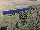  Amber Bell Trail - Photo 16