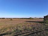  Amber Bell Trail - Photo 25