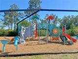 26209 Madras Court - Photo 37