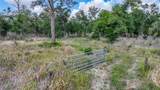 2143 Blossom Avenue - Photo 42