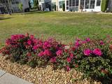 11644 Egret Circle - Photo 19