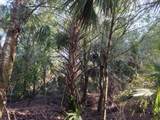 1901 Graham Road - Photo 15