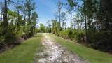 27445 Chrysalis Drive - Photo 11