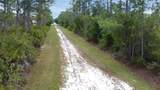 27445 Chrysalis Drive - Photo 12
