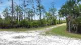 27445 Chrysalis Drive - Photo 13