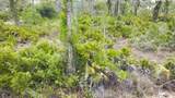 27445 Chrysalis Drive - Photo 4
