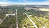 27445 Chrysalis Drive - Photo 7