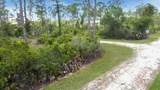 27445 Chrysalis Drive - Photo 8