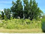 2336 Hale Street - Photo 15