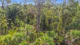 356 Lindon St - Photo 11