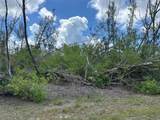 10792 Hatchet Circle - Photo 2
