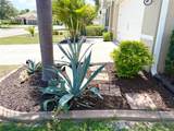 25008 Lalique Place - Photo 4