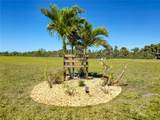17240 Cape Horn Boulevard - Photo 9