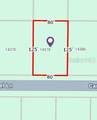 14378 Carousel Lane - Photo 3