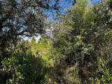 50204 Bermont Road - Photo 17