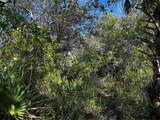 50204 Bermont Road - Photo 18