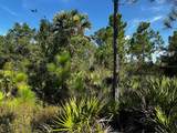 50204 Bermont Road - Photo 30