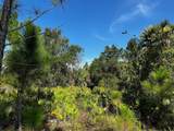 50204 Bermont Road - Photo 31