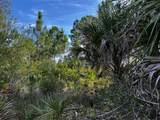50204 Bermont Road - Photo 32