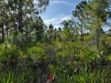 50204 Bermont Road - Photo 35
