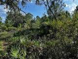 50204 Bermont Road - Photo 37
