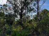 50204 Bermont Road - Photo 39