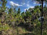 50204 Bermont Road - Photo 40