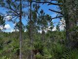 50204 Bermont Road - Photo 41