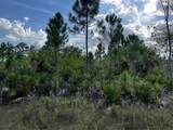 50204 Bermont Road - Photo 42