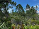 50204 Bermont Road - Photo 43